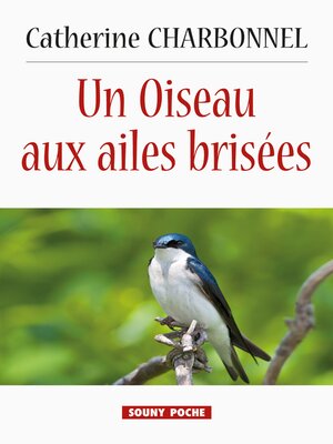 cover image of Un Oiseau aux ailes brisées